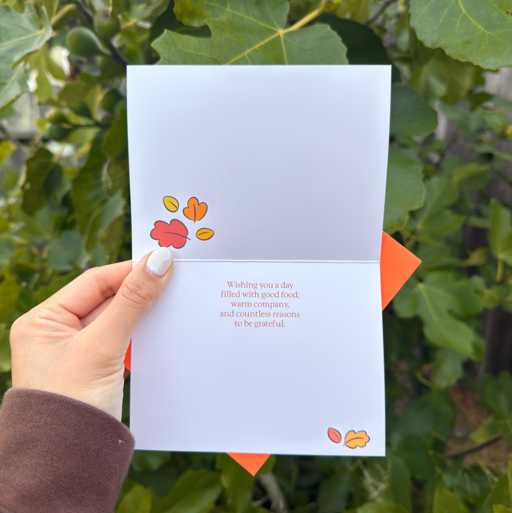 Thanksgiving - Greeting Card